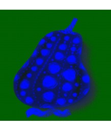 Édition - Funny Pumpkin n°2 - 2025